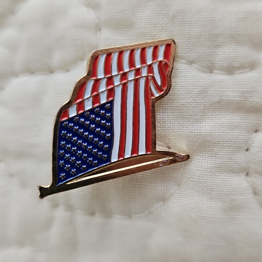 Vintage USA Souvenir Ski Pins - Picture 4 of 10